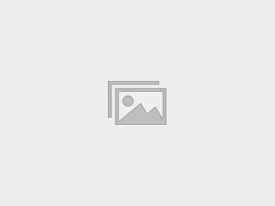 Oxlead